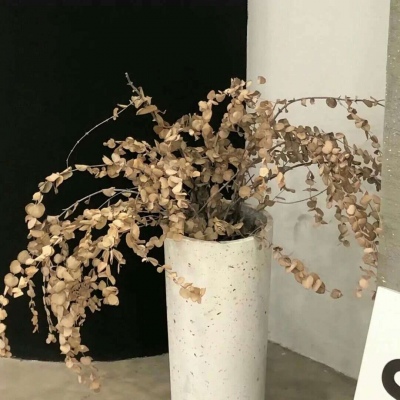 Furry插画氛围营造FurryQQ群